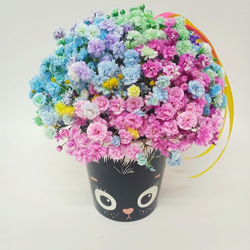 

ЗЕФИРКО Радужная гипсофила в стаканчике "Хочу кусь!", Радужная гипсофила в стаканчике "Хочу кусь!"