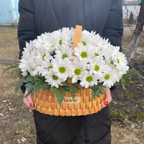 

ТАНЕЦ ЦВЕТОВ Корзина с ромашками, Корзина с ромашками