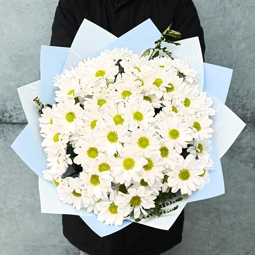 

ТАНЕЦ ЦВЕТОВ Воздушный образ, Воздушный образ