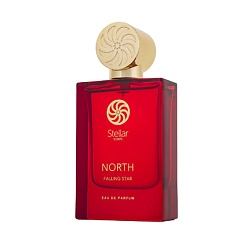 North Falling Star