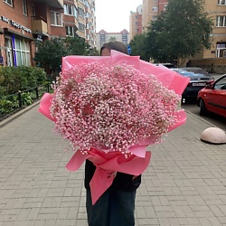 Пышный букет из розовой гипсофилы