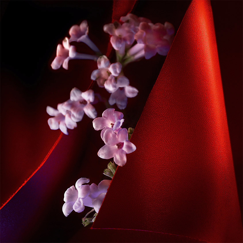 CHRISTIAN LOUBOUTIN BEAUTY Fetiche Le Cuir – фото 3