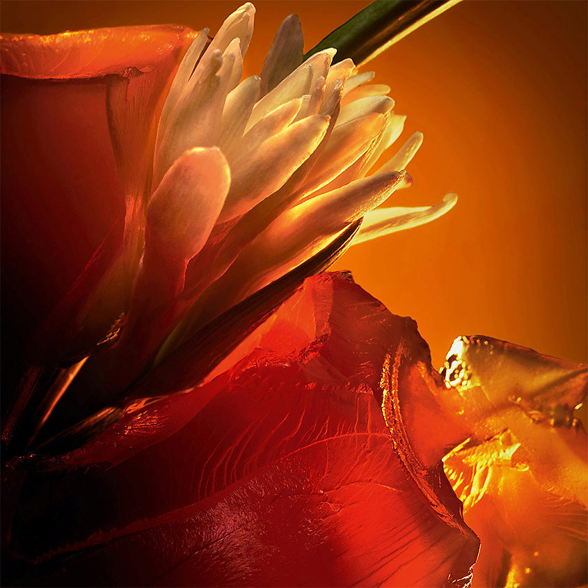 CHRISTIAN LOUBOUTIN BEAUTY Fetiche L'Ambre – фото 3