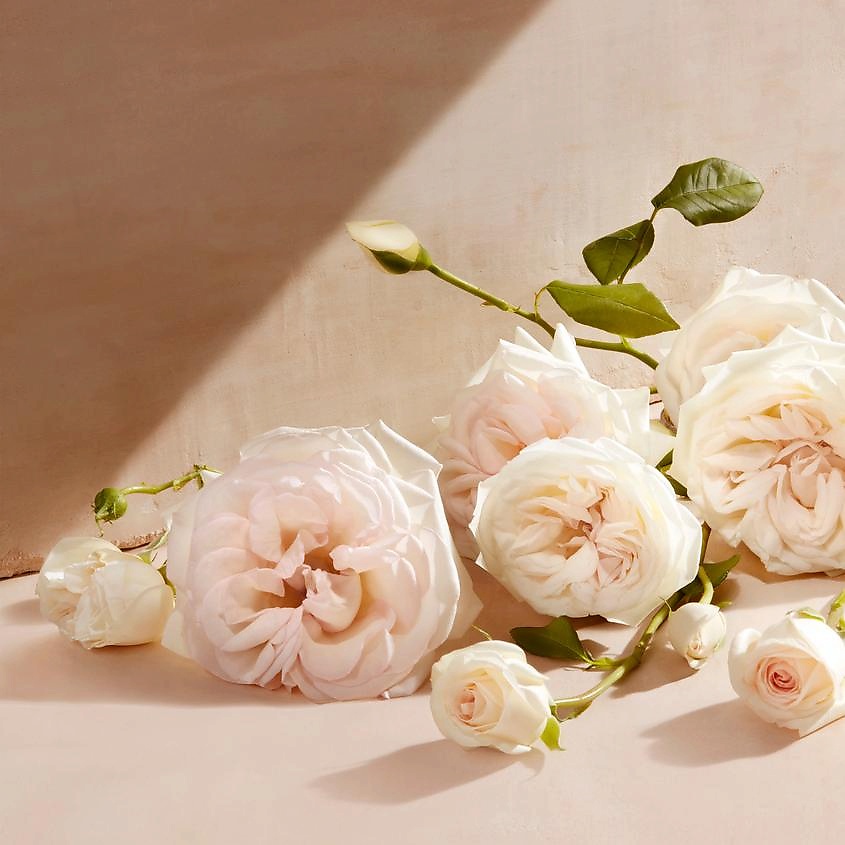 CHLOE Eau de Parfum – фото 7