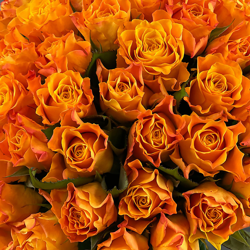 Изображение товара Букет из 31 оранжевой кенийской розы в шляпной коробке 40 см