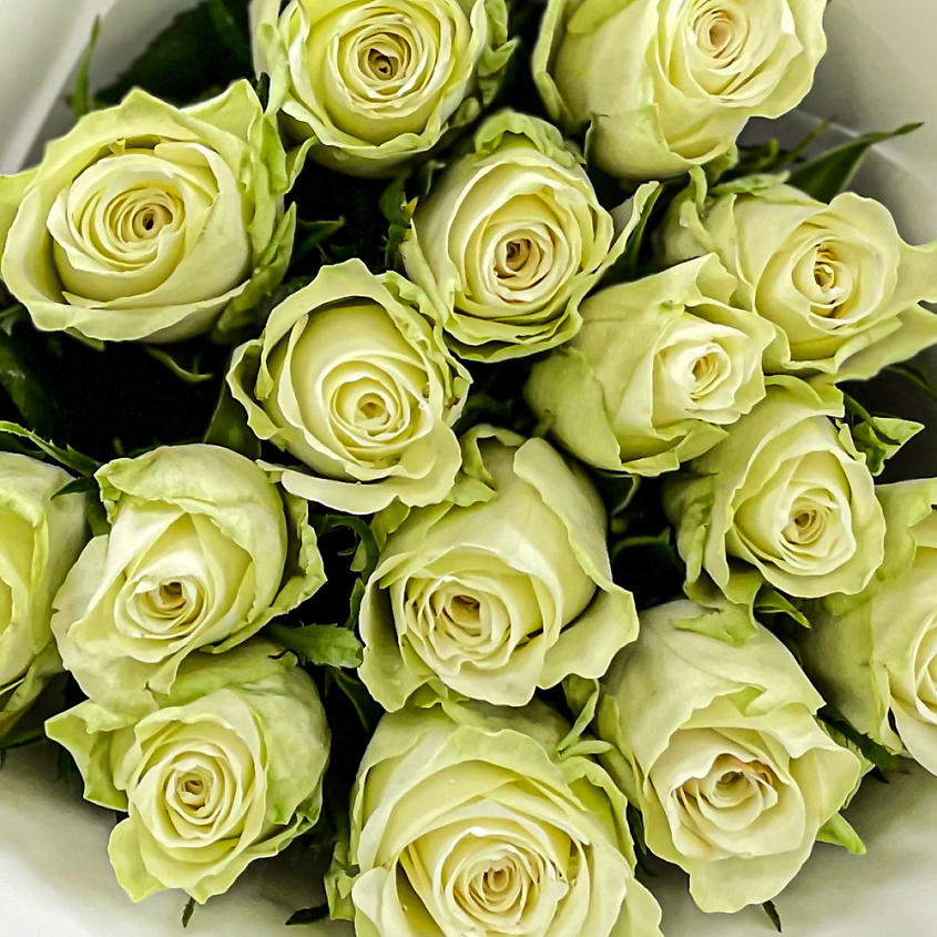 Изображение товара Букет из 39 белых кенийских роз в шляпной коробке