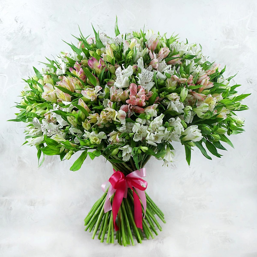 Изображение товара Букет из 101 альстромерии 60 см с средством Хризалом