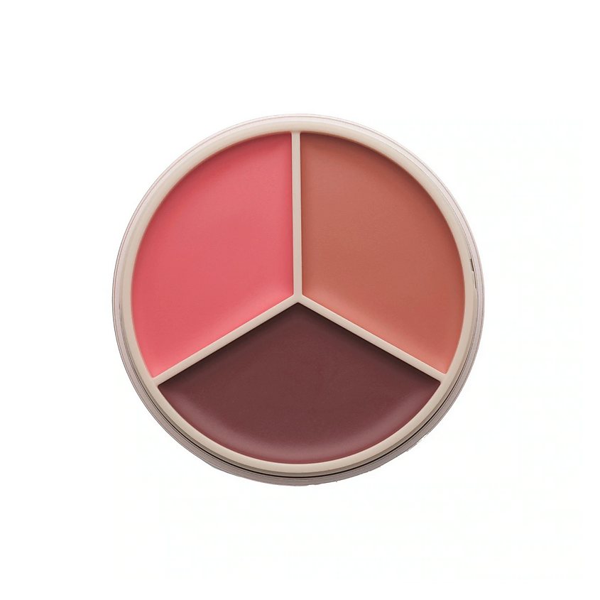 Изображение товара Румяна ANASTASIA BEVERLY HILLS Blush Magic Touch Peach Изображение товара Румяна ANASTASIA BEVERLY HILLS Blush Magic Touch Peach