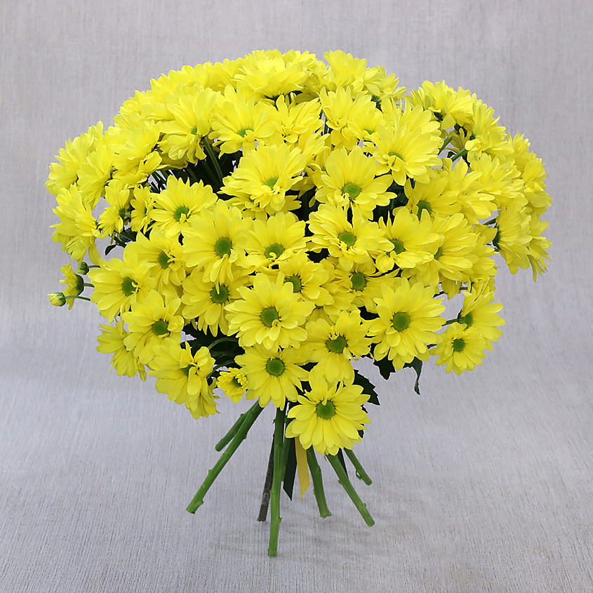 Изображение товара Букет из 9 желтых кустовых хризантем с средством Хризалом