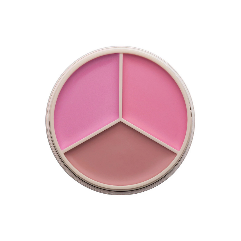 Изображение товара Румяна ANASTASIA BEVERLY HILLS Blush Magic Touch Pink Изображение товара Румяна ANASTASIA BEVERLY HILLS Blush Magic Touch Pink