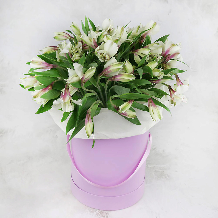 Изображение товара Букет Альстромерий в шляпной коробке 15 шт стильный подарок