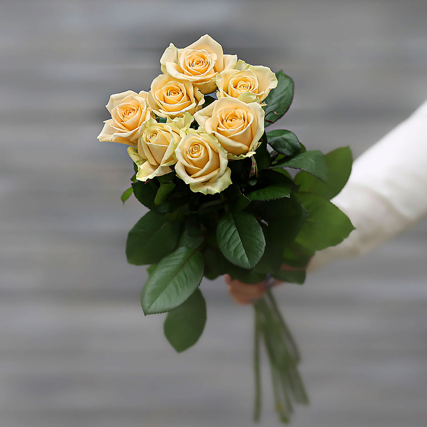 Изображение товара Букет из 7 кремовых роз с ухаживающей лентой 50 см