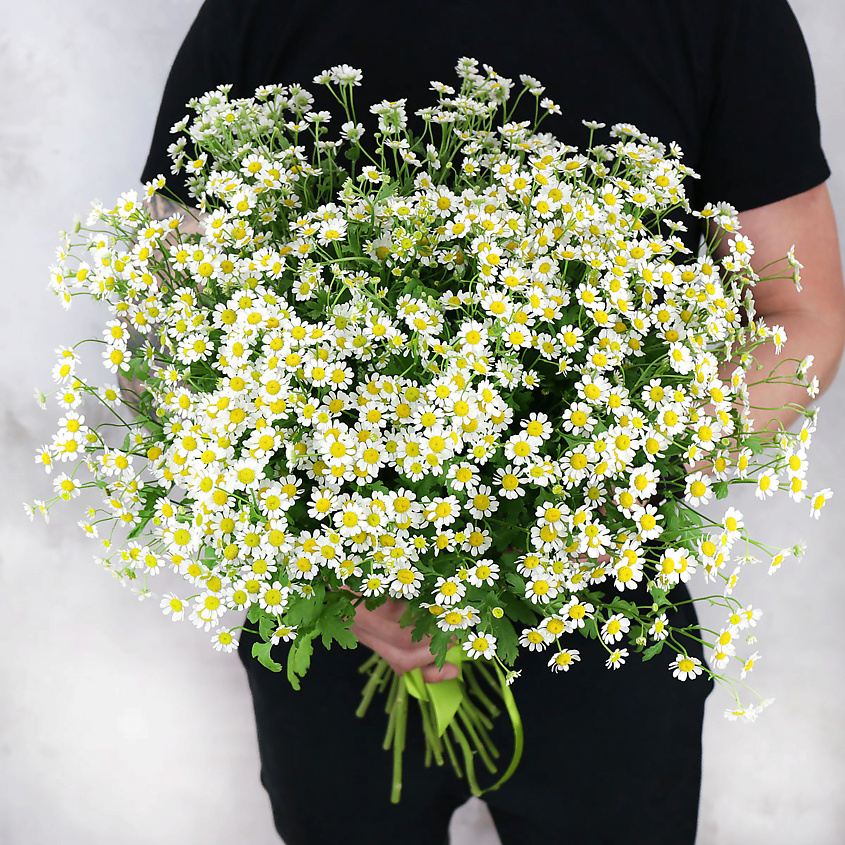 Изображение товара Букет из 25 ромашек в свежем состоянии для подарка и декора