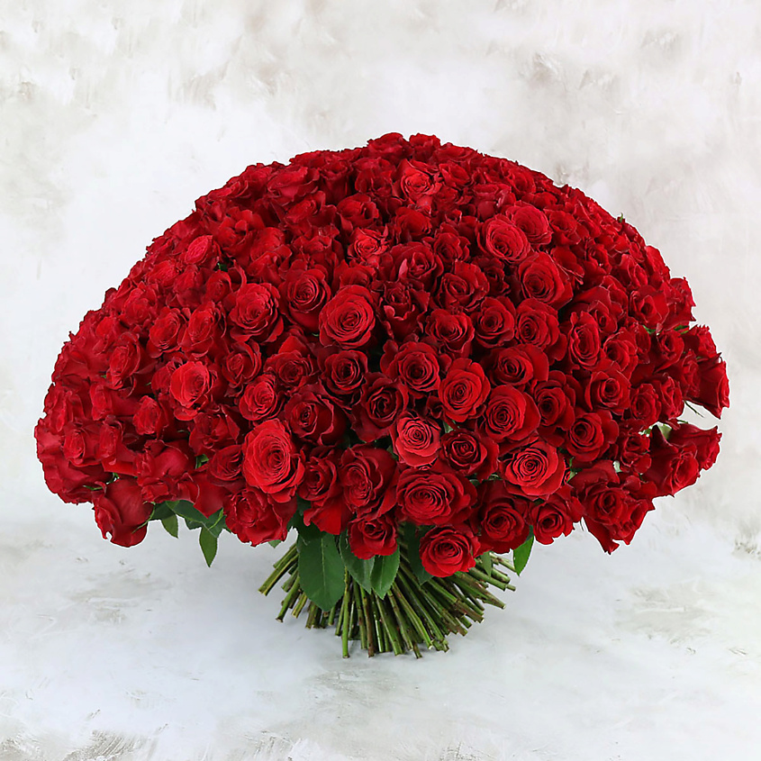 Изображение товара Букет из 251 красной розы Ред наоми 60 см