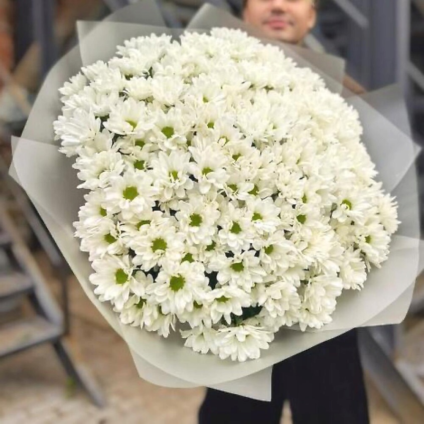 Изображение товара Букет белых Хризантем сорта Chic 21 шт с дизайнерской упаковкой