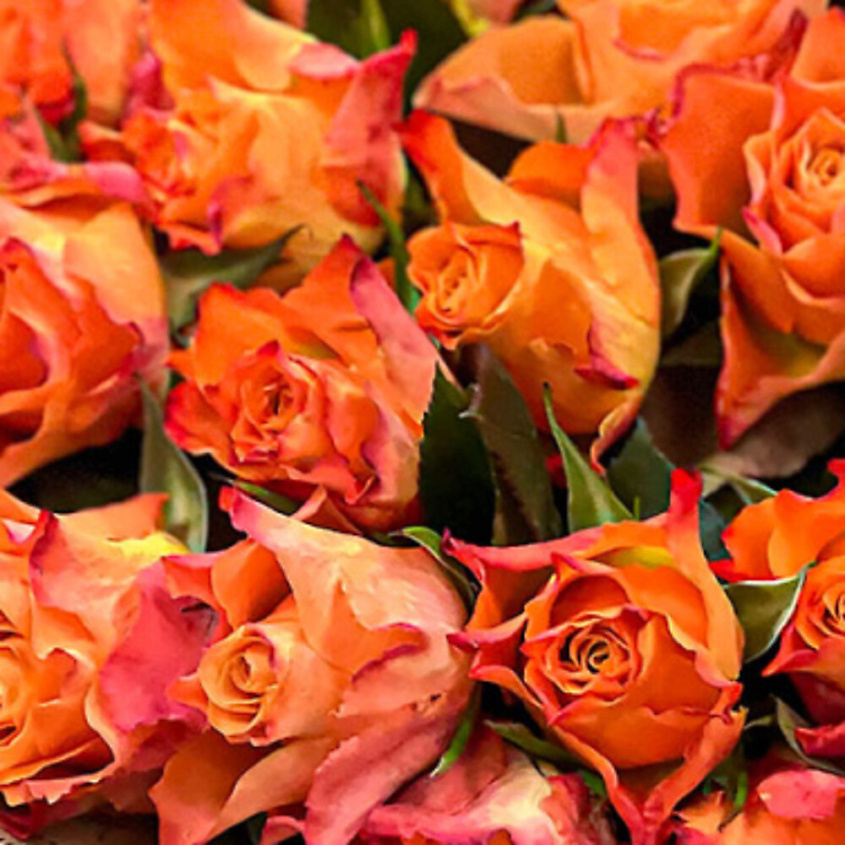 Изображение товара Букет из 21 оранжевой кенийской розы в шляпной коробке