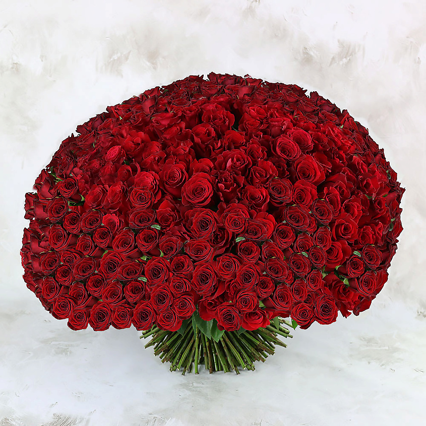 Изображение товара 301 красная роза Букет Маркет 60 см - идеальный подарок
