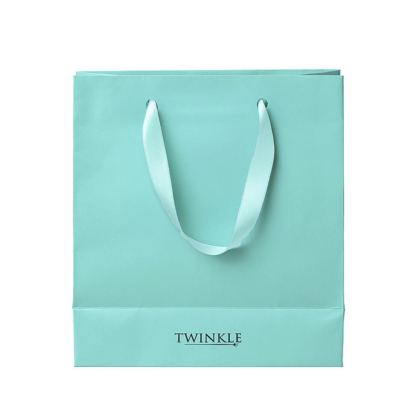 Изображение товара Подарочный пакет Emballage от TWINKLE 1 шт Mint для подарков