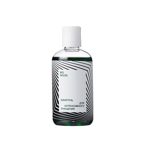 

BIG MOOD Шампунь для интенсивного очищения волос, склонных к жирности, перхоти и себореи 250, Шампунь для интенсивного очищения волос, склонных к жирности, перхоти и себореи