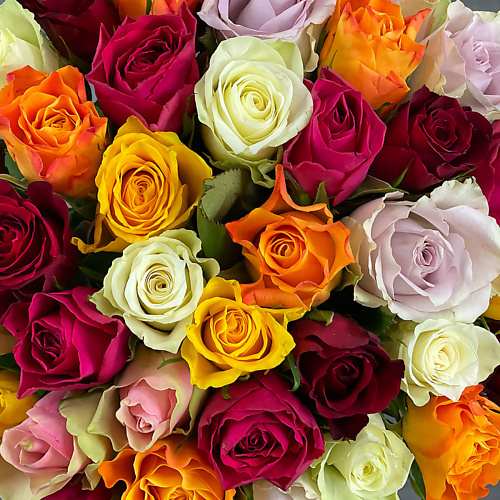 

БУКЕТ МАРКЕТ ДАРИТЕ С УДОВОЛЬСТВИЕМ Букет из 21 разноцветной Кенийской розы в шляпной коробке, Букет из 21 разноцветной Кенийской розы в шляпной коробке