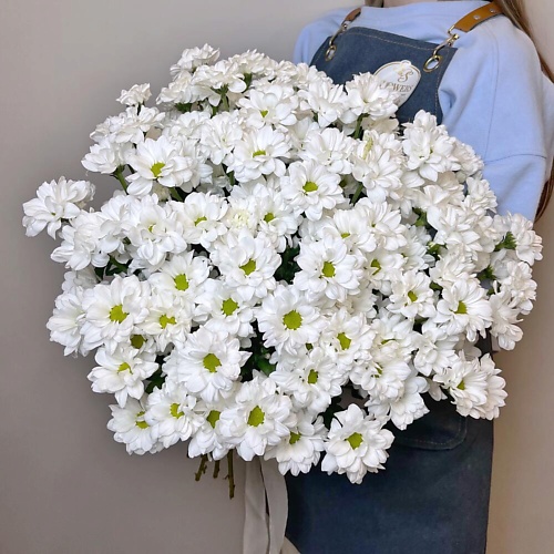 

CHALET GREEN Букет из 15 кустовых хризантем Кеннеди, Букет из 15 кустовых хризантем Кеннеди