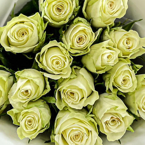 

БУКЕТ МАРКЕТ ДАРИТЕ С УДОВОЛЬСТВИЕМ Букет из 39 белых Кенийских роз в шляпной коробке, Букет из 39 белых Кенийских роз в шляпной коробке