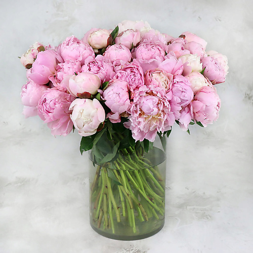 

БУКЕТ МАРКЕТ ДАРИТЕ С УДОВОЛЬСТВИЕМ Букет из 51 розового пиона, Букет из 51 розового пиона