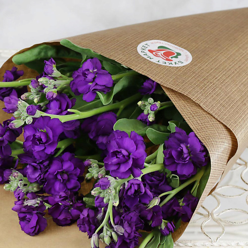 

БУКЕТ МАРКЕТ ДАРИТЕ С УДОВОЛЬСТВИЕМ Букет из темно-фиолетовой маттиолы, Букет из темно-фиолетовой маттиолы