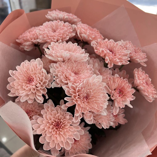 

MERSI FLOWERS Коралловые хризантемы, Коралловые хризантемы