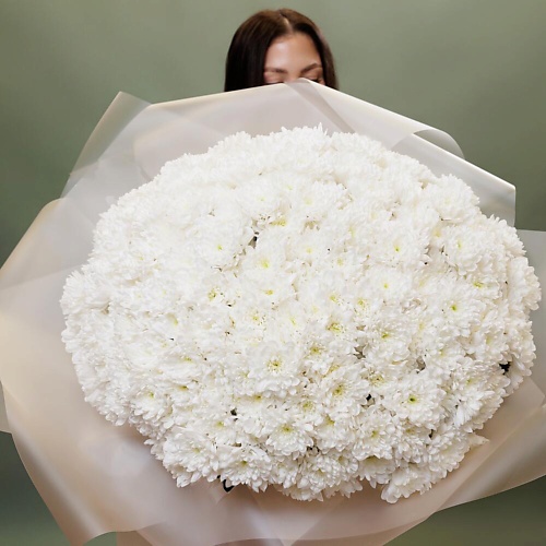 

MERSI FLOWERS 51 хризантема "Алтай", 51 хризантема "Алтай"