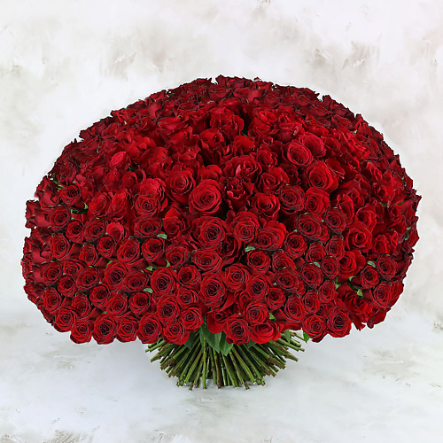 

БУКЕТ МАРКЕТ ДАРИТЕ С УДОВОЛЬСТВИЕМ 301 красная роза Россия 60 см., 301 красная роза Россия 60 см.