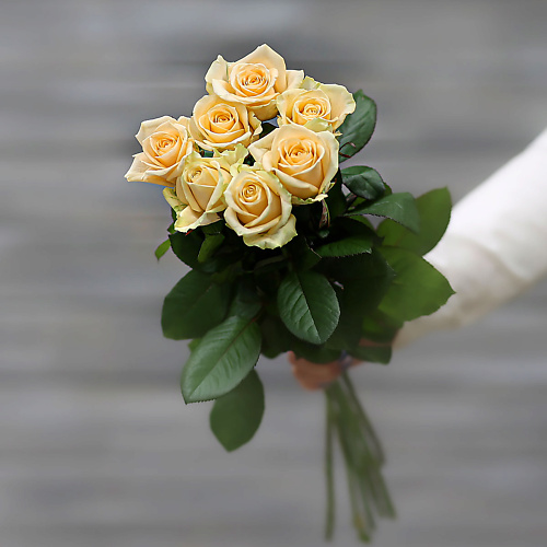 

БУКЕТ МАРКЕТ ДАРИТЕ С УДОВОЛЬСТВИЕМ Букет из 7 кремовых роз (Россия) с лентой 60 см, Букет из 7 кремовых роз (Россия) с лентой 60 см