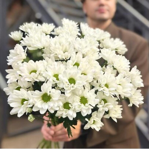 

CHALET GREEN Белая Хризантема Chic, 9 шт, Белая Хризантема Chic, 9 шт