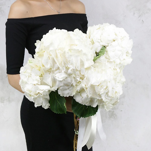 

БУКЕТ МАРКЕТ ДАРИТЕ С УДОВОЛЬСТВИЕМ Букет из 5 белых гортензий, Букет из 5 белых гортензий