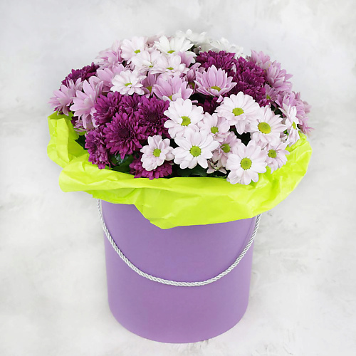 

БУКЕТ МАРКЕТ ДАРИТЕ С УДОВОЛЬСТВИЕМ Композиция из 15 кустовых хризантем в коробке, Композиция из 15 кустовых хризантем в коробке