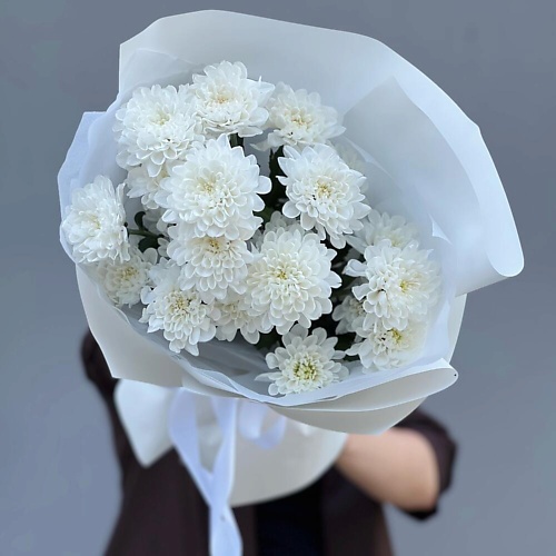 

MERSI FLOWERS Белое облако S. Хризантема кустовая белая, Белое облако S. Хризантема кустовая белая