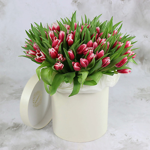 

БУКЕТ МАРКЕТ ДАРИТЕ С УДОВОЛЬСТВИЕМ 101 красно-белый тюльпан в шляпной коробке, 101 красно-белый тюльпан в шляпной коробке