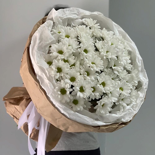 

CHALET GREEN Хризантемы 11шт в крафте с тишью, Хризантемы 11шт в крафте с тишью