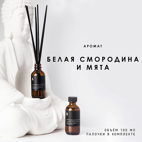 

BANKA HOME Ароматический диффузор "Белая смородина и мята" 100, Ароматический диффузор "Белая смородина и мята"