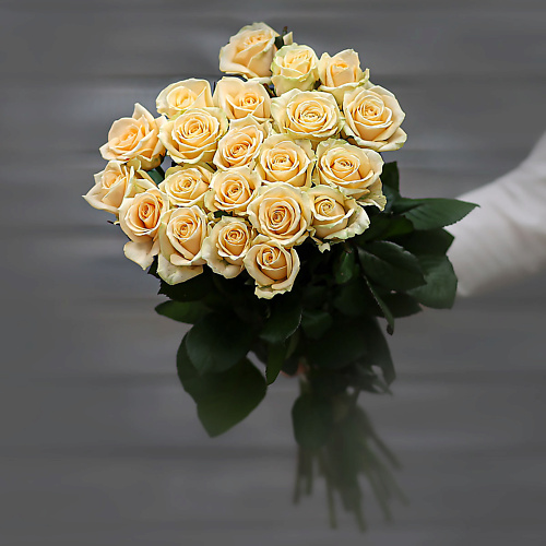 

БУКЕТ МАРКЕТ ДАРИТЕ С УДОВОЛЬСТВИЕМ Букет из 19 кремовых роз (Россия) с лентой 50 см, Букет из 19 кремовых роз (Россия) с лентой 50 см