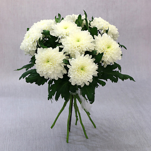 

БУКЕТ МАРКЕТ ДАРИТЕ С УДОВОЛЬСТВИЕМ Букет из 9 белых хризантем, Букет из 9 белых хризантем