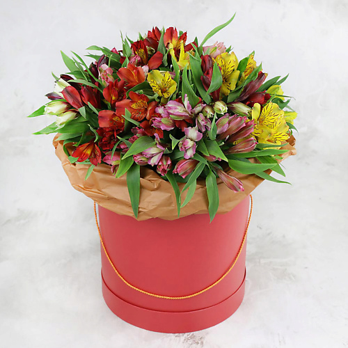 

БУКЕТ МАРКЕТ ДАРИТЕ С УДОВОЛЬСТВИЕМ 25 разноцветных альстромерий в шляпной коробке, 25 разноцветных альстромерий в шляпной коробке