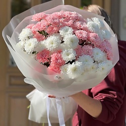 Микс из хризантем M