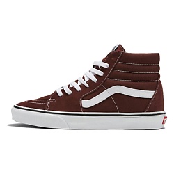 Кроссовки Sk8 Hi Color Theory 'Brown'