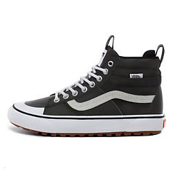 Кроссовки Sk8 Hi Mte 2.0 Dx 'Forest Night'