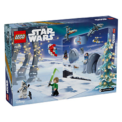 Адвент-календарь Star Wars (75395)
