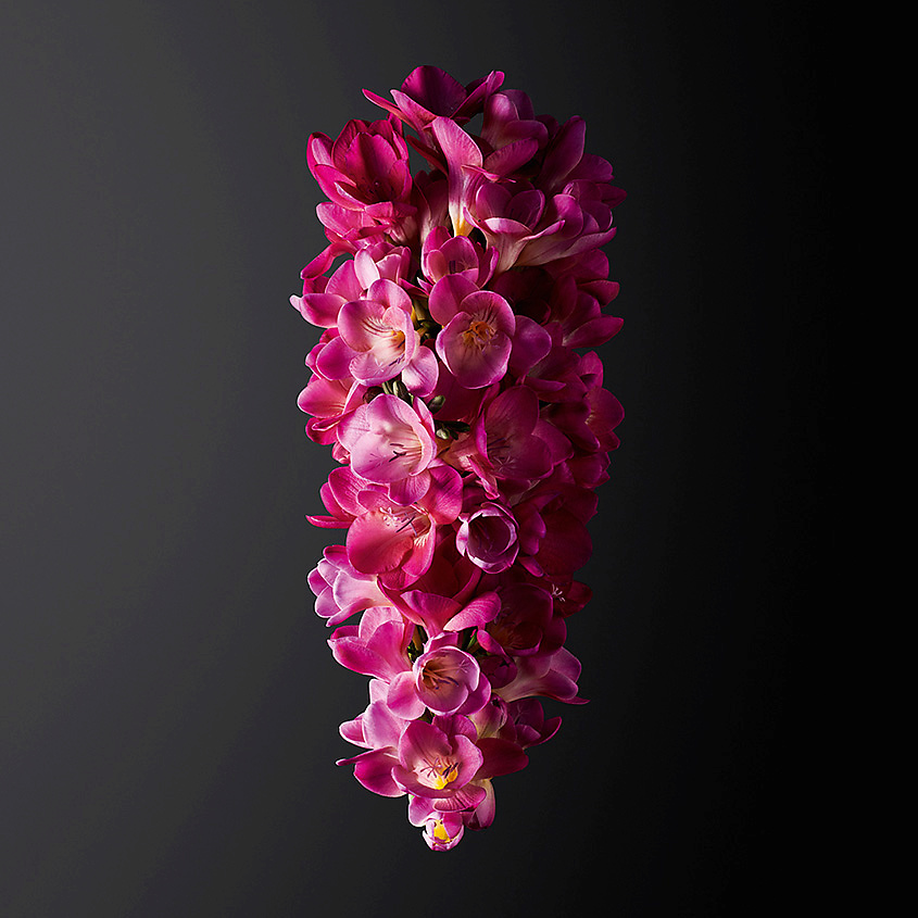 SHISEIDO Ginza Murasaki – фото 6