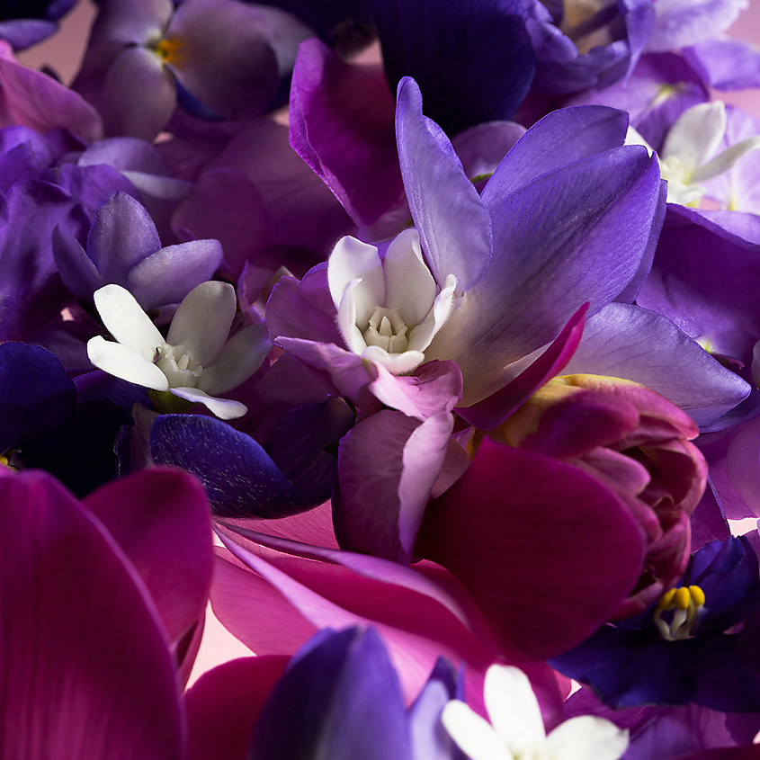 SHISEIDO Ginza Murasaki – фото 11