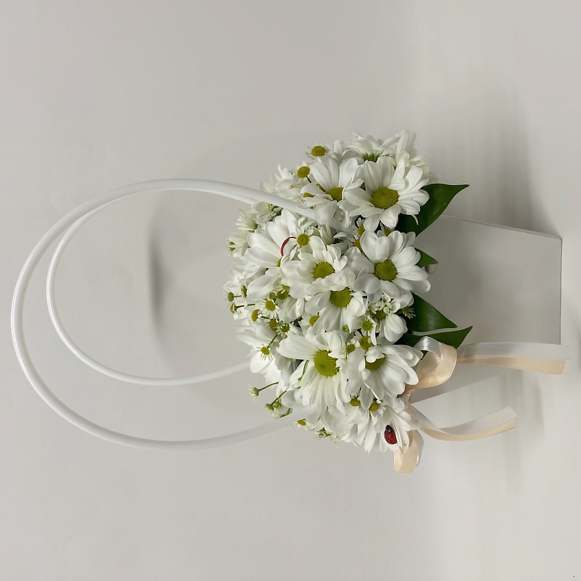 Изображение товара ЗЕФИРКО Ромашки для Наташки - красивый букет живых цветов