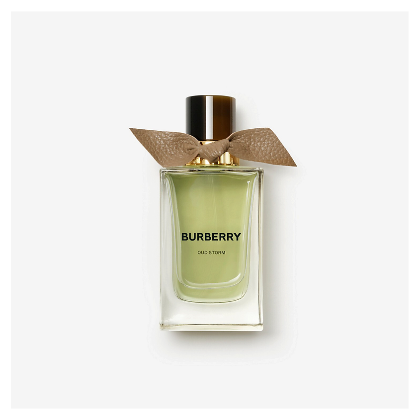 Изображение товара BURBERRY Парфюмерная вода Oud Storm, 100 мл